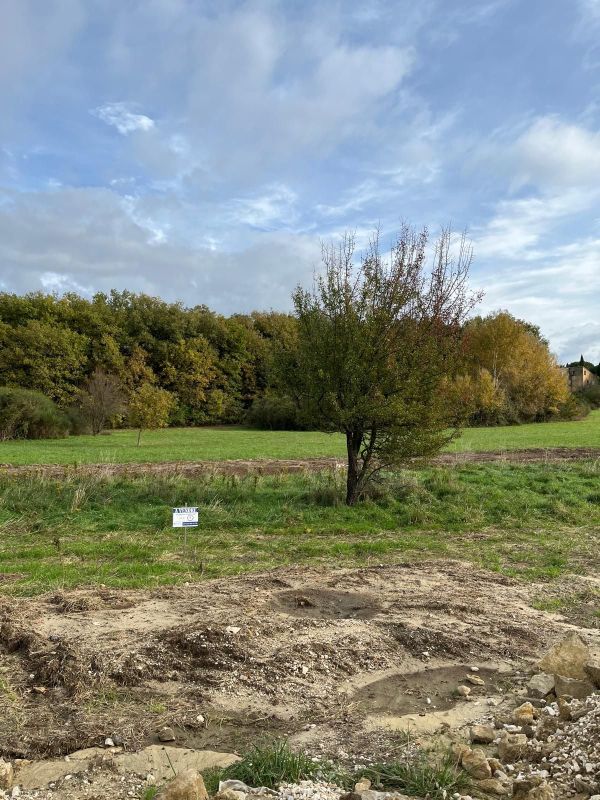 WhatsApp Image 2025-10-31 à 14.52.28_0a45e7af.jpg