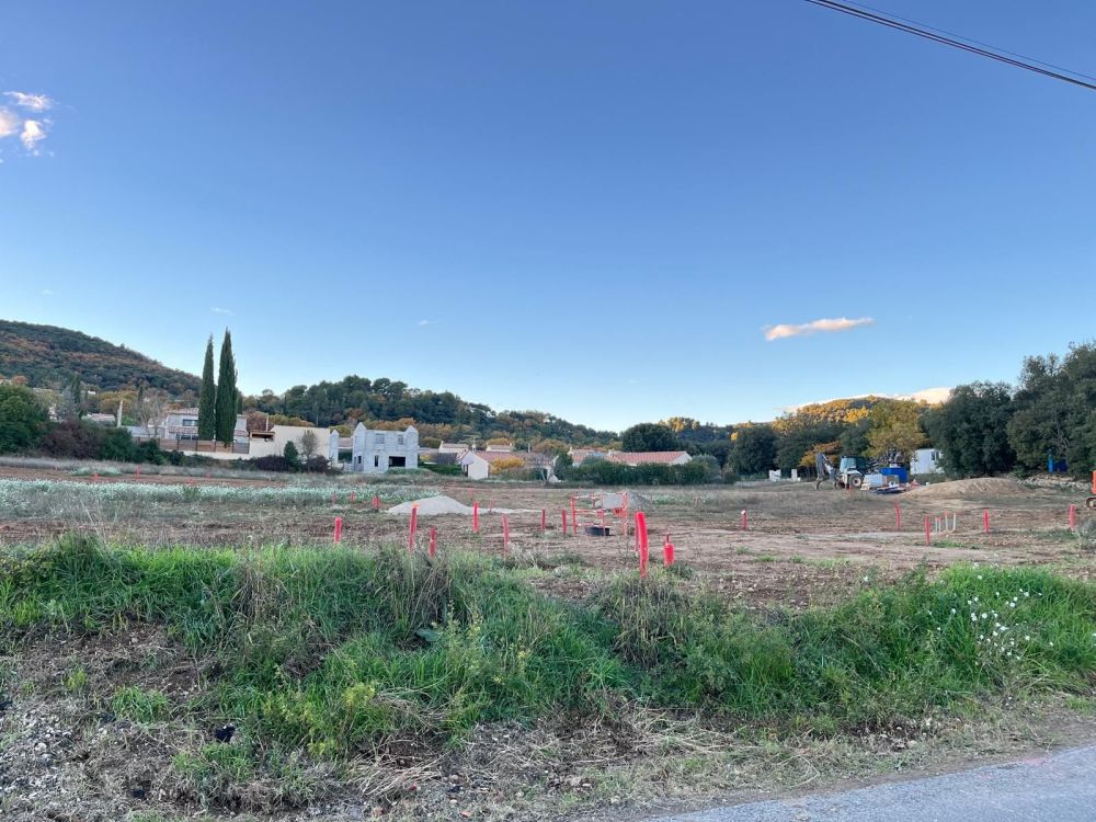 WhatsApp Image 2025-11-17 à 16.43.52_984a135a.jpg