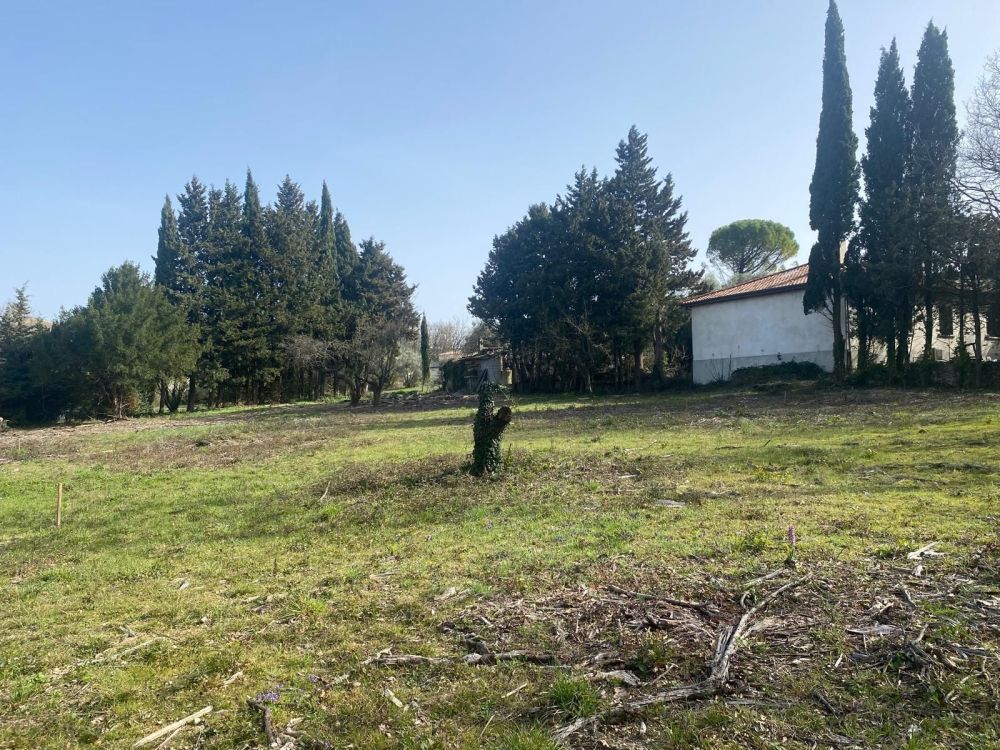 WhatsApp Image 2026-03-04 at 16.20.jpeg