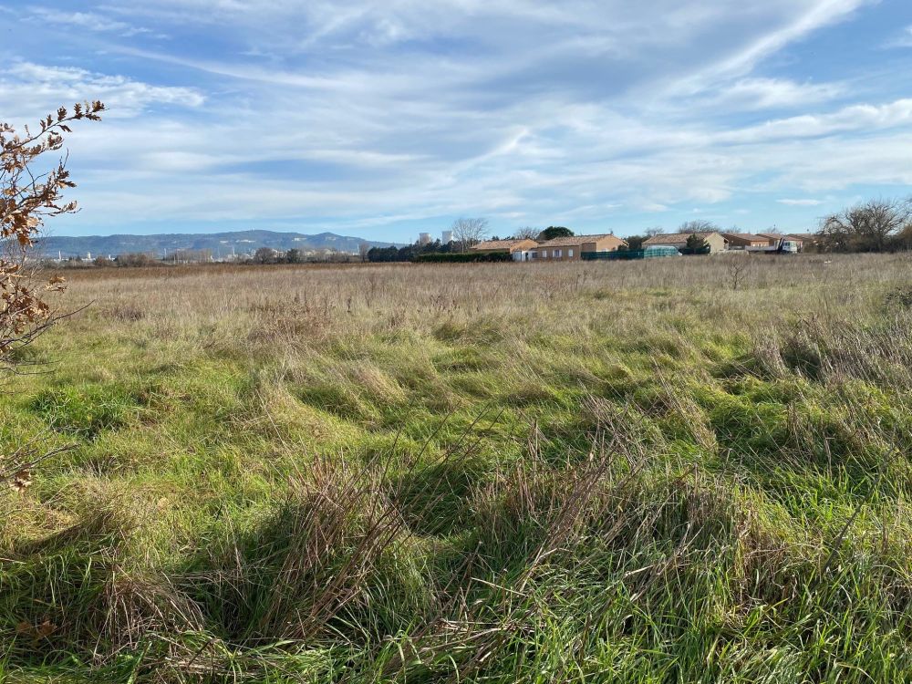 Terrain la Quaree 2.jpg